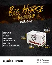 Big-Horse-BY_40-3.webp