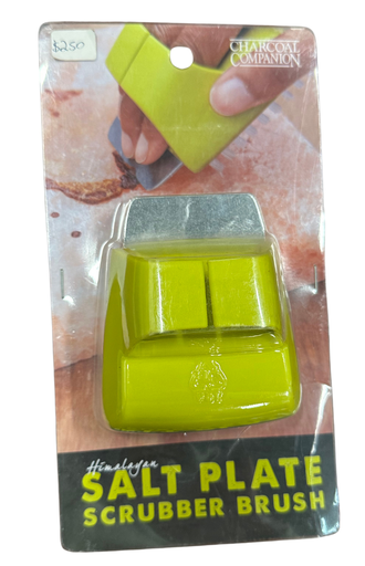 SALT SCRUB BRUSH